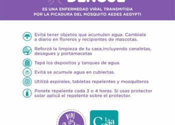 PARTIDO DE LA COSTA: Día Internacional contra el Dengue: cuáles son las acciones cotidianas para prevenir la enfermedad