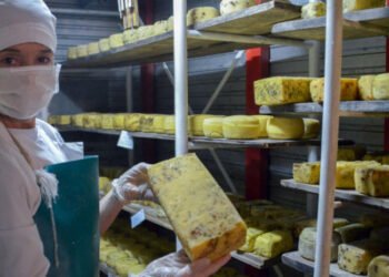 PARTIDO DE GENERAL LAVALLE: La producción artesanal de lácteos se incorporó al Código Alimentario Argentino