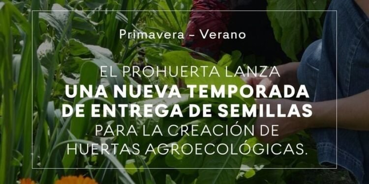 PARTIDO DE VILLA GESELL: El programa Pro-Huerta, perteneciente al Ministerio de Desarrollo Social de la Nación, INTA junto al Área de Vivero y Espacios Verdes, programan una nueva entrega de semillas de temporada primavera, verano🌞🌸.