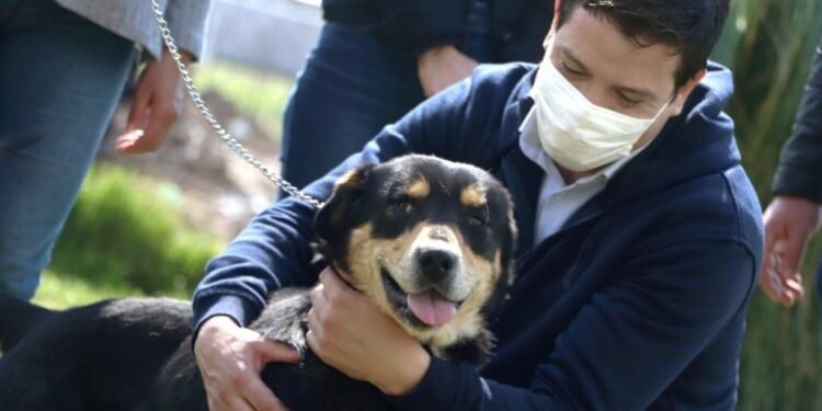 PARTIDO DE LA COSTA: Cristian presentó la adopción responsable de mascotas, con perros y perras que se pueden conocer a través de la web de la Municipalidad de La Costa