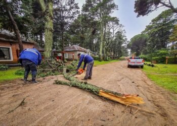 PARTIDO DE PINAMAR: En gran parte del Partido de Pinamar se cortó la luz