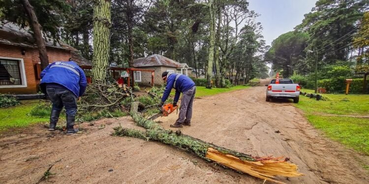 PARTIDO DE PINAMAR: En gran parte del Partido de Pinamar se cortó la luz