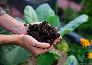 PARTIDO DE LA COSTA: Desarrollo sostenible: se dictará un curso de separación de residuos en origen y realización de compostaje