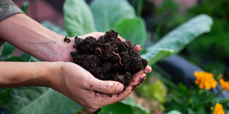 PARTIDO DE LA COSTA: Desarrollo sostenible: se dictará un curso de separación de residuos en origen y realización de compostaje