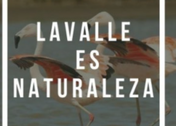 PARTIDO DE GENERAL LAVALLE: ¿Todavía no te anotaste al concurso de fotografía «Lavalle es Naturaleza»?: Hay tiempo hasta el 15 de septiembre