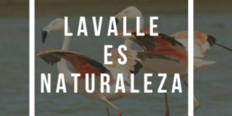 PARTIDO DE GENERAL LAVALLE: Hasta el miércoles habrá tiempo para anotarse al concurso de fotografía «Lavalle es Naturaleza»