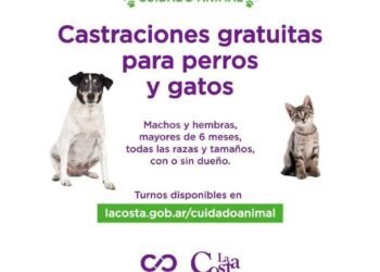 PARTIDO DE LA COSTA: La campaña de castraciones gratuitas para perros y gatos llegará a Santa Teresita y Mar del Tuyú