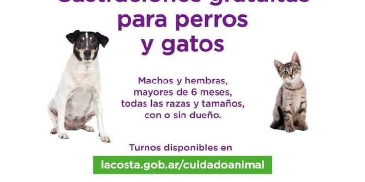 PARTIDO DE LA COSTA: La campaña de castraciones gratuitas para perros y gatos llegará a Santa Teresita y Mar del Tuyú