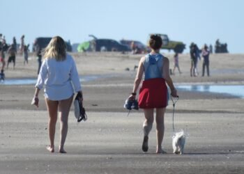 PARTIDO DE LA COSTA: Fin de semana extra largo en el Partido de La Costa: todas las actividades para disfrutar de cuatro días en familia