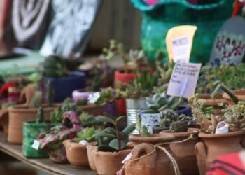 PARTIDO DE LA COSTA: Este sábado habrá una peña folclórica en la Plaza de las Banderas de San Clemente