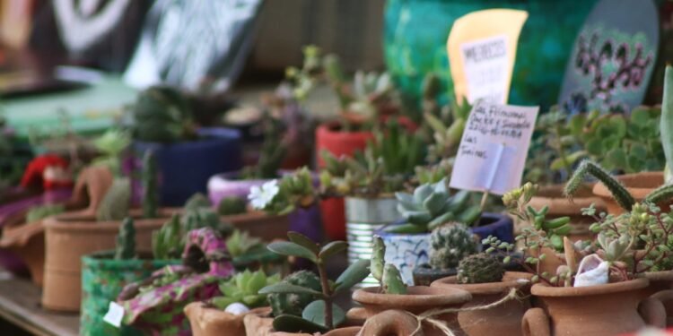 PARTIDO DE LA COSTA: Este sábado habrá una peña folclórica en la Plaza de las Banderas de San Clemente