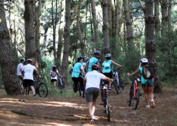 PARTIDO DE LA COSTA: Visitas guiadas para conocer la naturaleza y la historia del Partido de La Costa
