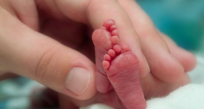 PARTIDO DE LA COSTA: Con actividades abiertas a la comunidad el Partido de La Costa se suma a la campaña Semana del Prematuro