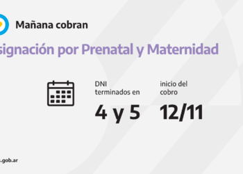 ANSES CALENDARIOS DE PAGO DEL VIERNES 12 DE NOVIEMBRE