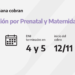 ANSES CALENDARIOS DE PAGO DEL VIERNES 12 DE NOVIEMBRE