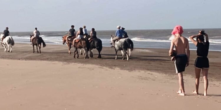 PARTIDO DE LA COSTA: El Partido de La Costa recibió miles de turistas que disfrutaron de la naturaleza, actividades al aire libre y fiestas populares
