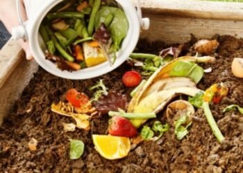 PARTIDO DE GENERAL LAVALLE: Próximo sábado se realizará el “Taller de Compostaje” del CEA N°26