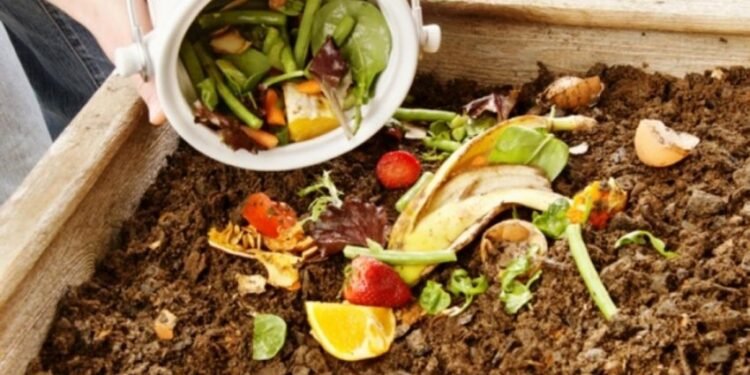 PARTIDO DE GENERAL LAVALLE: Próximo sábado se realizará el “Taller de Compostaje” del CEA N°26