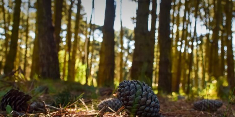 LA COSTA: La Costa Bio, una propuesta para conocer las bellezas naturales del Partido de La Costa