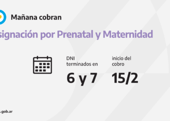 ANSES CALENDARIOS DE PAGO DEL MARTES 15 DE FEBRERO