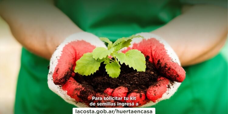 LA COSTA: Se abre la 5ª edición del programa “Huerta en casa” con la entrega de kits de semillas para vecinos y vecinas