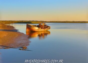 LA COSTA: Con caminatas por Santa Teresita y Lucila del Mar, La Costa Bio continúa con su propuesta de visitas guiadas para vecinos y visitantes