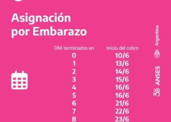 CALENDARIOS DE PAGO QUE INICIAN HOY