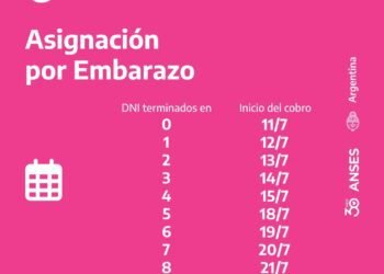 ANSES: CALENDARIOS DE PAGO QUE INICIAN HOY