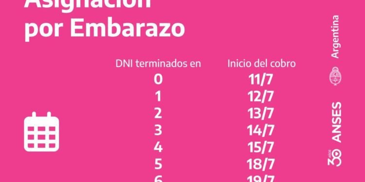 ANSES: CALENDARIOS DE PAGO QUE INICIAN HOY