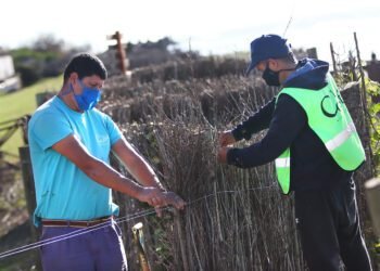 LA COSTA: Continúa la colocación de enquinchado para asentamiento de dunas en el frente costero
