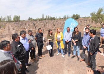 RAVERTA INAUGURÓ UNA OFICINA DE ANSES EN MAIPÚ Y ENTREGÓ JUBILACIONES A VIÑATEROS DE LA PROVINCIA