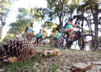 Cicloturismo: una propuesta saludable para conocer las bondades naturales de La Costa