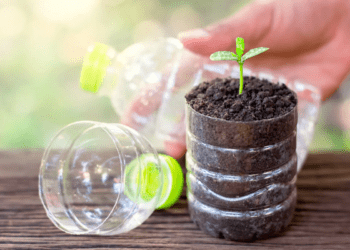 Programa Eco-Canje: se entregan plantas a cambio de botellas de plástico en San Clemente