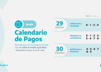IPS PAGA EL MEDIO AGUINALDO Y HABERES DE JUNIO