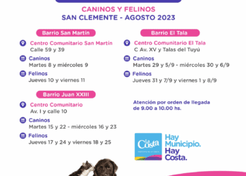 Continúa en San Clemente la campaña de castraciones gratuitas para perros y gatos