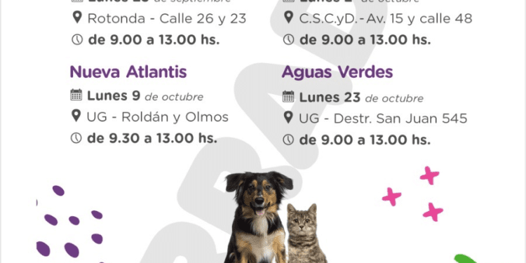 La campaña de vacunación antirrábica para perros y gatos continúa en veterinarias adheridas y en los barrios