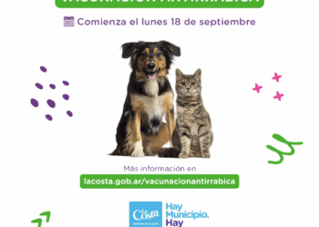 Comenzó la campaña gratuita de vacunación antirrábica para perros y gatos en las veterinarias adheridas