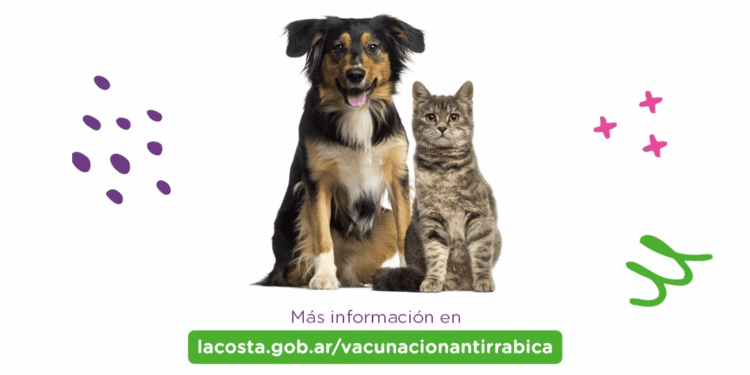 Comenzó la campaña gratuita de vacunación antirrábica para perros y gatos en las veterinarias adheridas