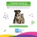 Comenzó la campaña gratuita de vacunación antirrábica para perros y gatos en las veterinarias adheridas