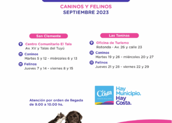 Las castraciones gratuitas para perros y gatos continúan en septiembre en San Clemente y Las Toninas