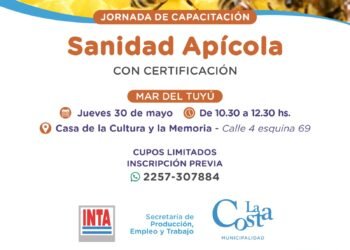 Se realizará una capacitación de Sanidad Apícola en Mar del Tuyú
