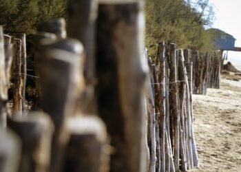 Se realizan trabajos conjuntos para la defensa de la Carabela y el pozo de bombeo cloacal de Santa Teresita