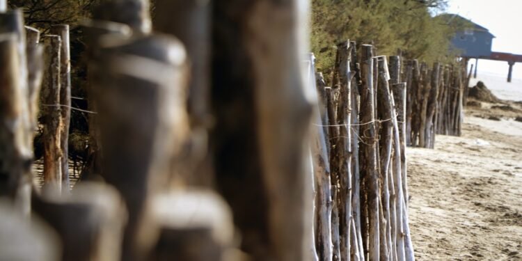 Se realizan trabajos conjuntos para la defensa de la Carabela y el pozo de bombeo cloacal de Santa Teresita