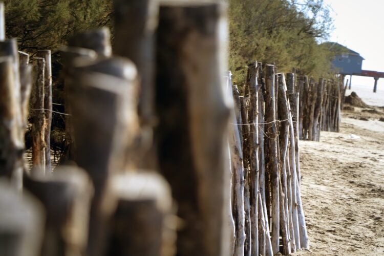 Se realizan trabajos conjuntos para la defensa de la Carabela y el pozo de bombeo cloacal de Santa Teresita