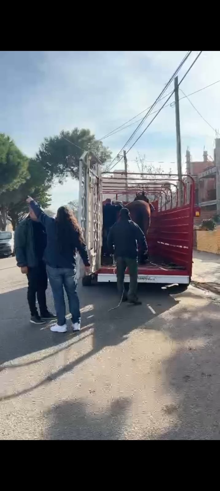 La Municipalidad trabaja en el control de caballos sueltos y apunta a la tenencia responsable