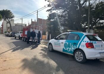 La Municipalidad trabaja en el control de caballos sueltos y apunta a la tenencia responsable