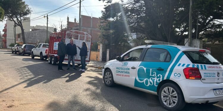 La Municipalidad trabaja en el control de caballos sueltos y apunta a la tenencia responsable
