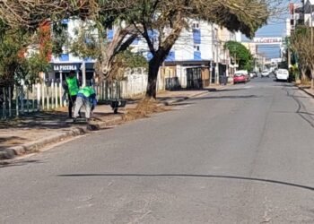 Se realizaron trabajos de mejoramiento del espacio público en Mar de Ajó