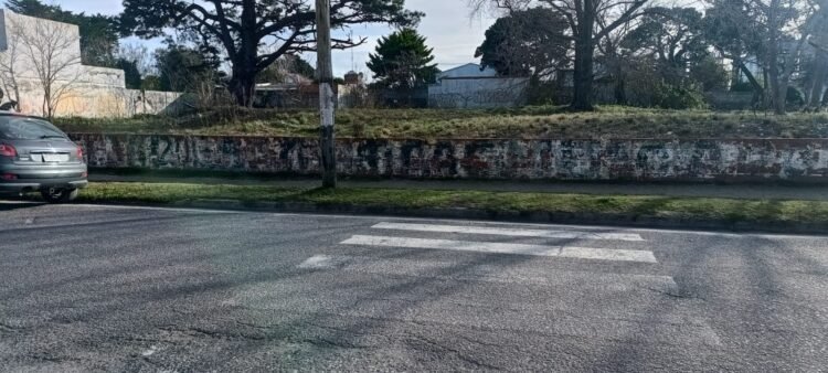 Se realizaron trabajos de mejoramiento del espacio público en Mar de Ajó