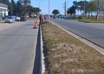 Se realizaron trabajos de reconversión lumínica en Mar de Ajó